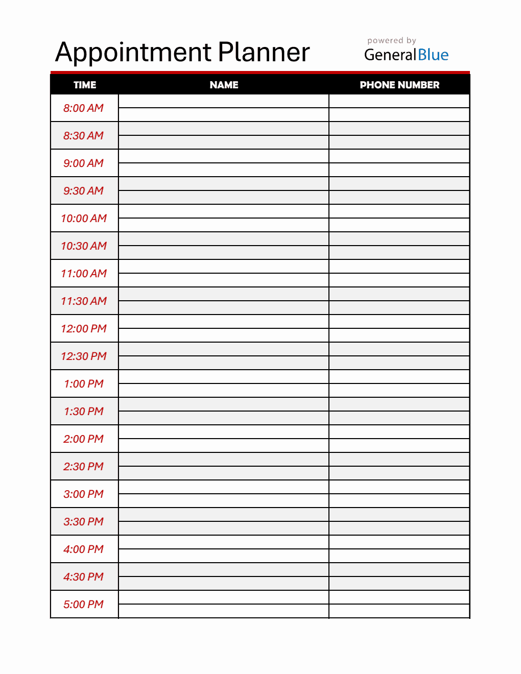 Fillable Appointment Planner (30-Minute Interval) in Excel